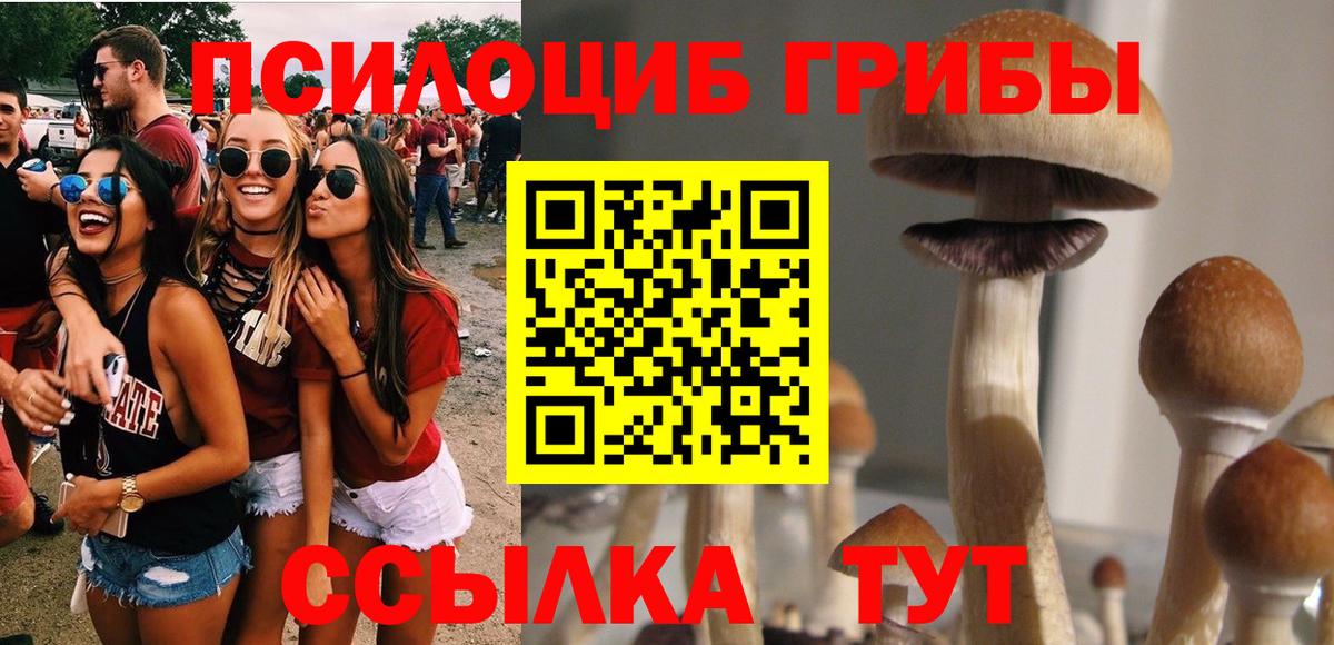 Владивосток  Псилоцибиновые грибы Psilocybine cubensis  Вход с VPN  Псилоцибиновые грибы Magic Shrooms 
